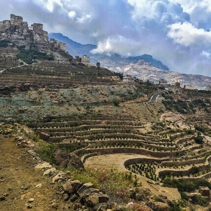 Zamarrud - Yémen