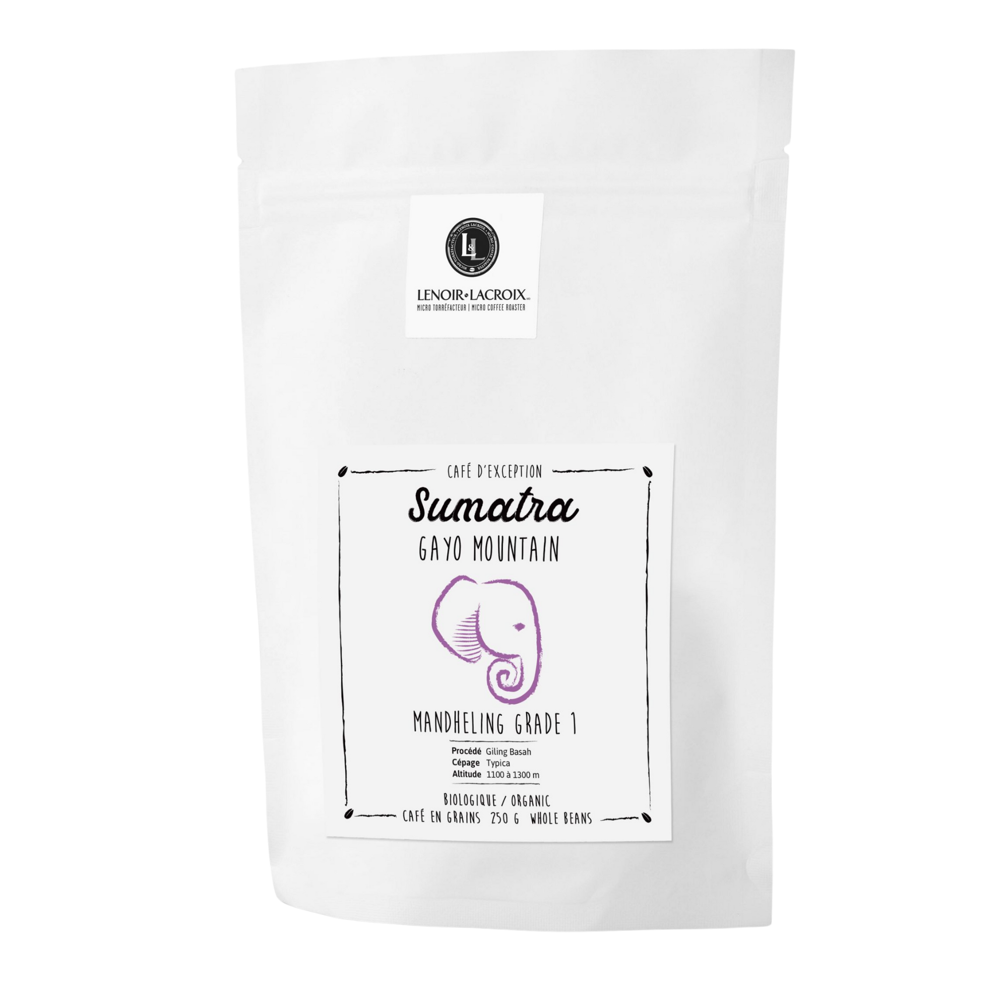 Sumatra - Gayo mountain