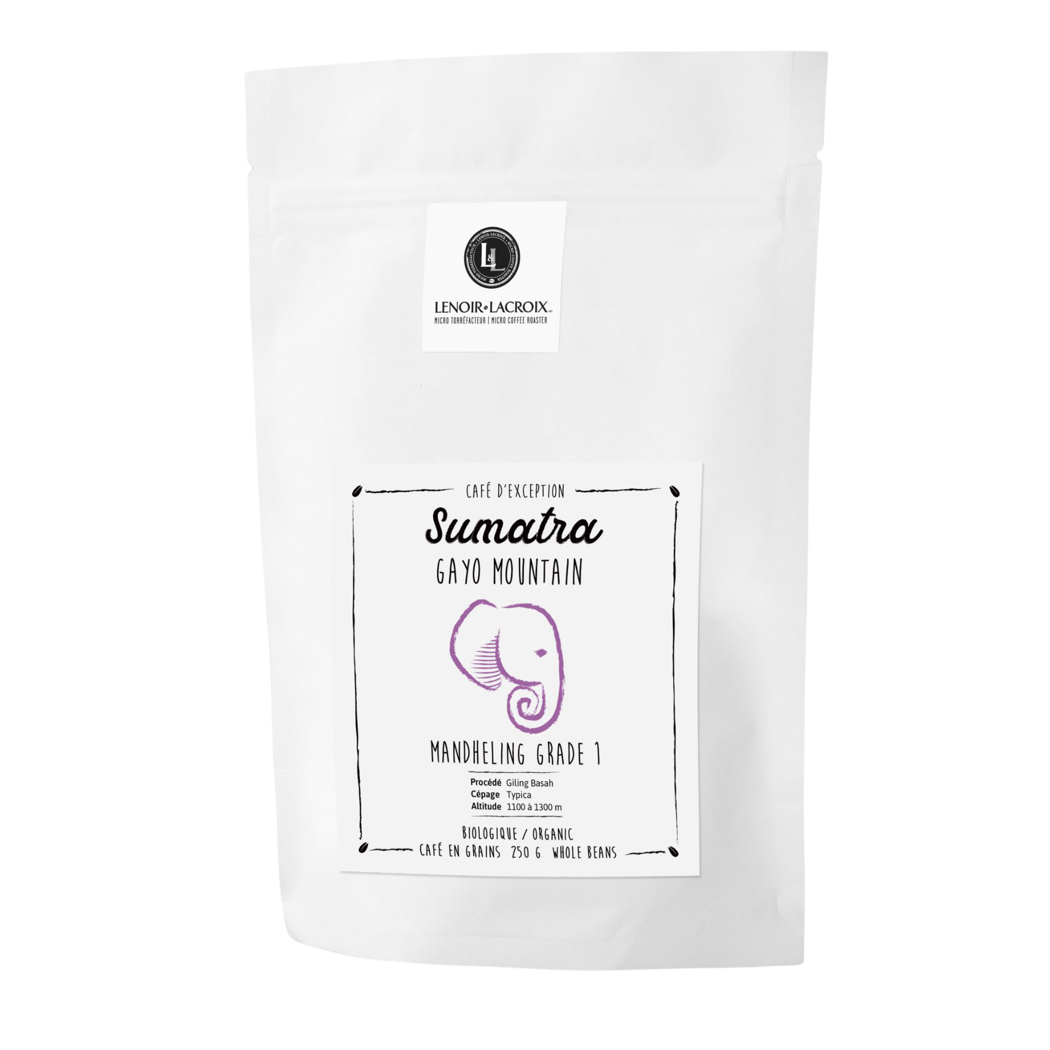 Sumatra - Gayo mountain