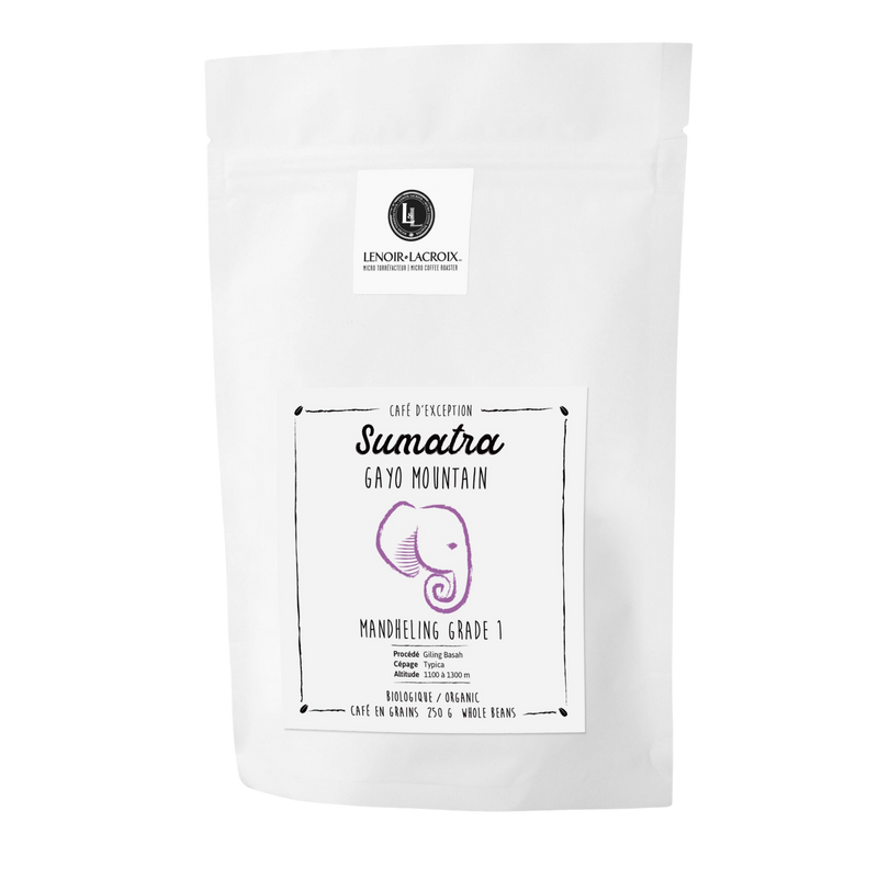 Sumatra - Gayo mountain